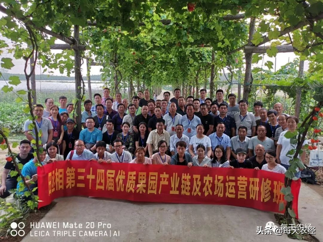 践行绿水青山就是金山银山,践行绿水青山就是金山银山的案例