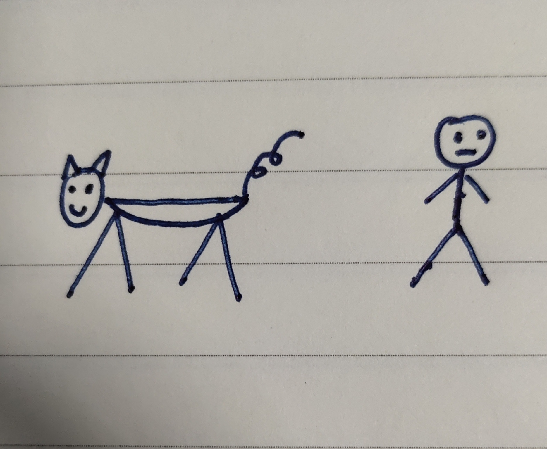 犬的子宫蓄脓病历论文,猫子宫蓄脓在家治疗方法及剂量