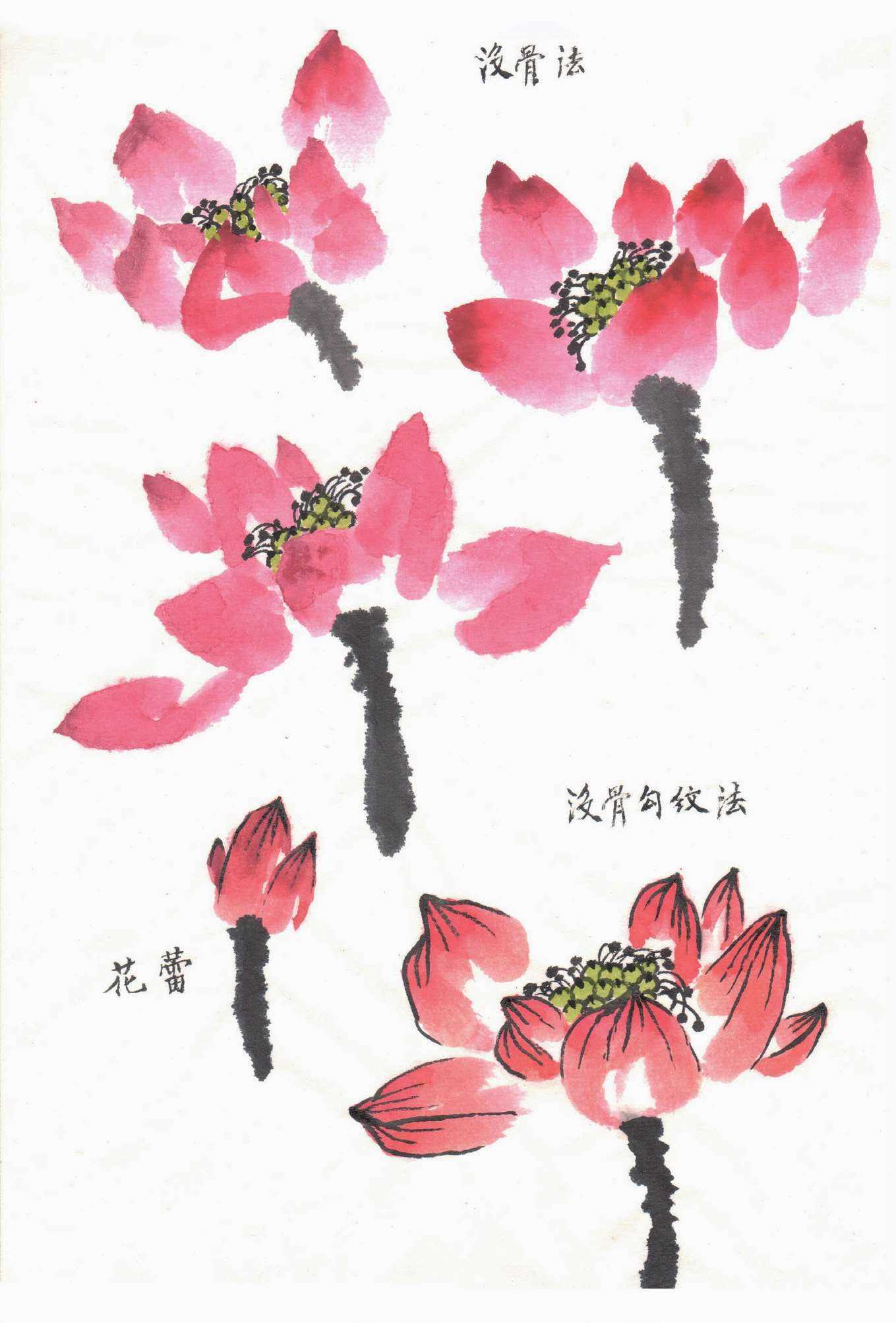 国画荷花入门基本笔画教程,国画入门零基础荷花直接画法