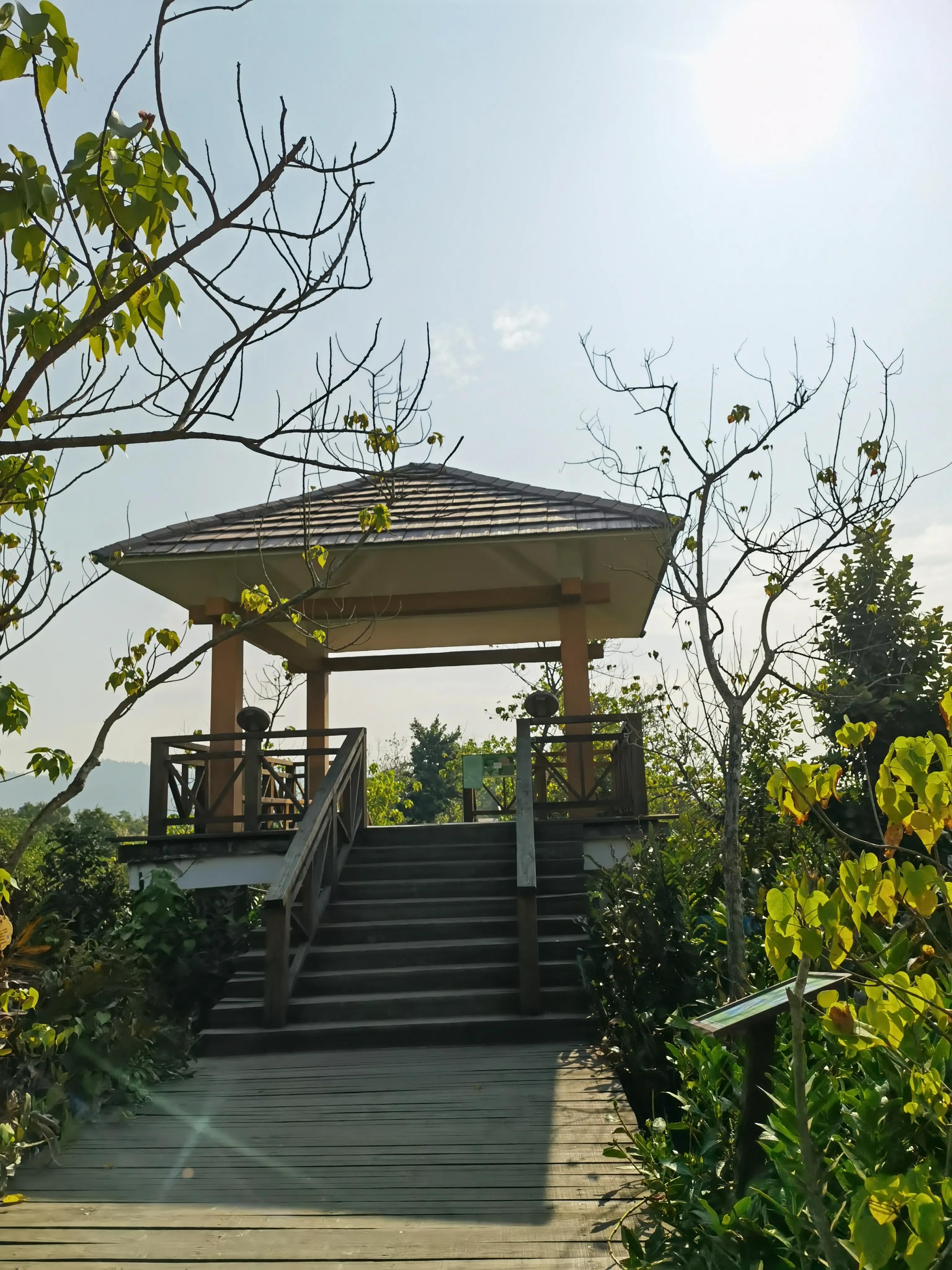 珠海淇澳岛红树林攻略,珠海桂山岛3天二夜的旅游攻略