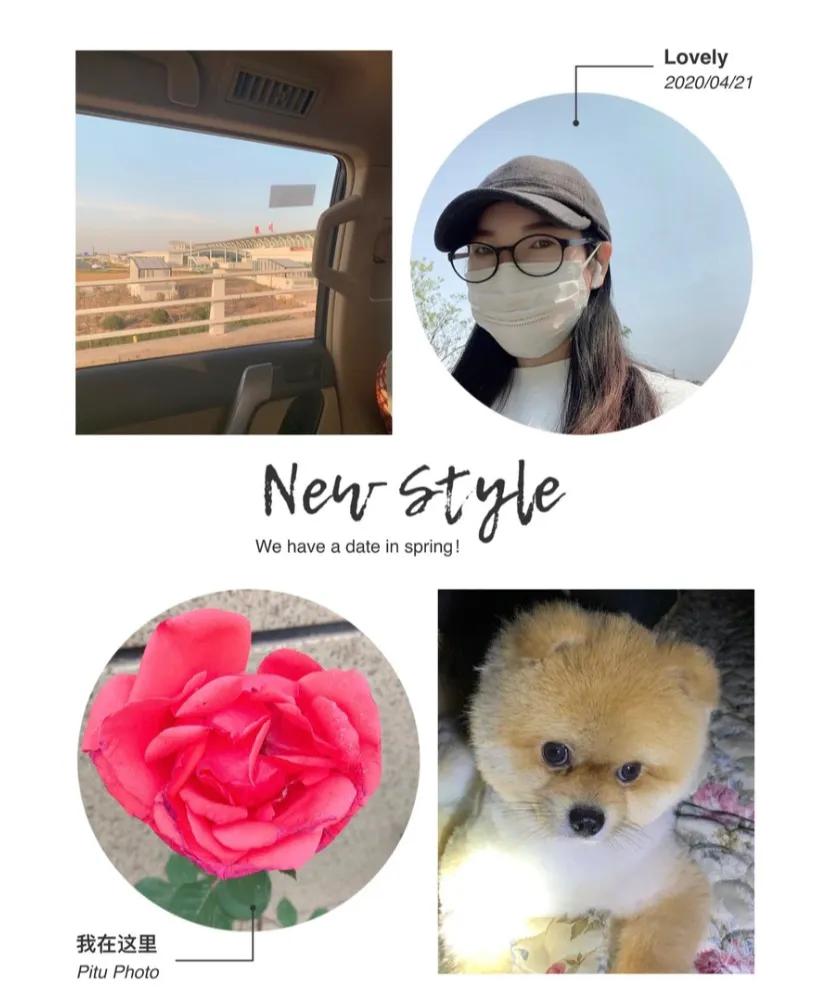 天下第一帅,天下第一帅英语