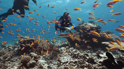 八年级下册物理液体压强的大小,八年级液体压强题