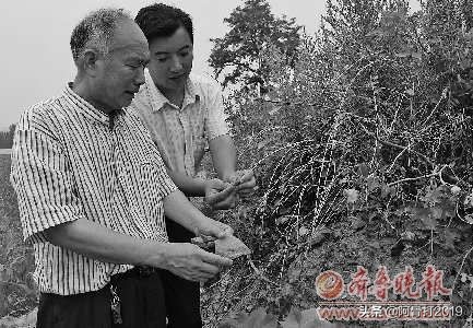 嘉祥曾子故里图片,嘉祥曾子庙简介和历史