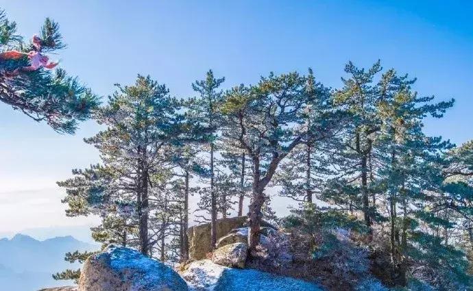 华山景区门票优惠政策最新消息,华山景区优惠门票价格表