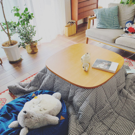 南方最实用的暖气,没有暖气的南方怎么取暖