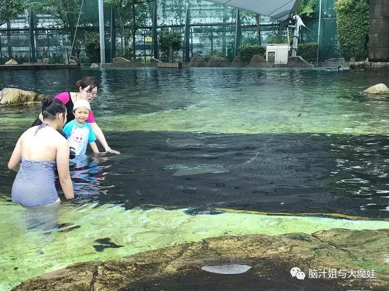 新加坡马来西亚泰国旅游攻略,新加坡马来西亚四日游攻略