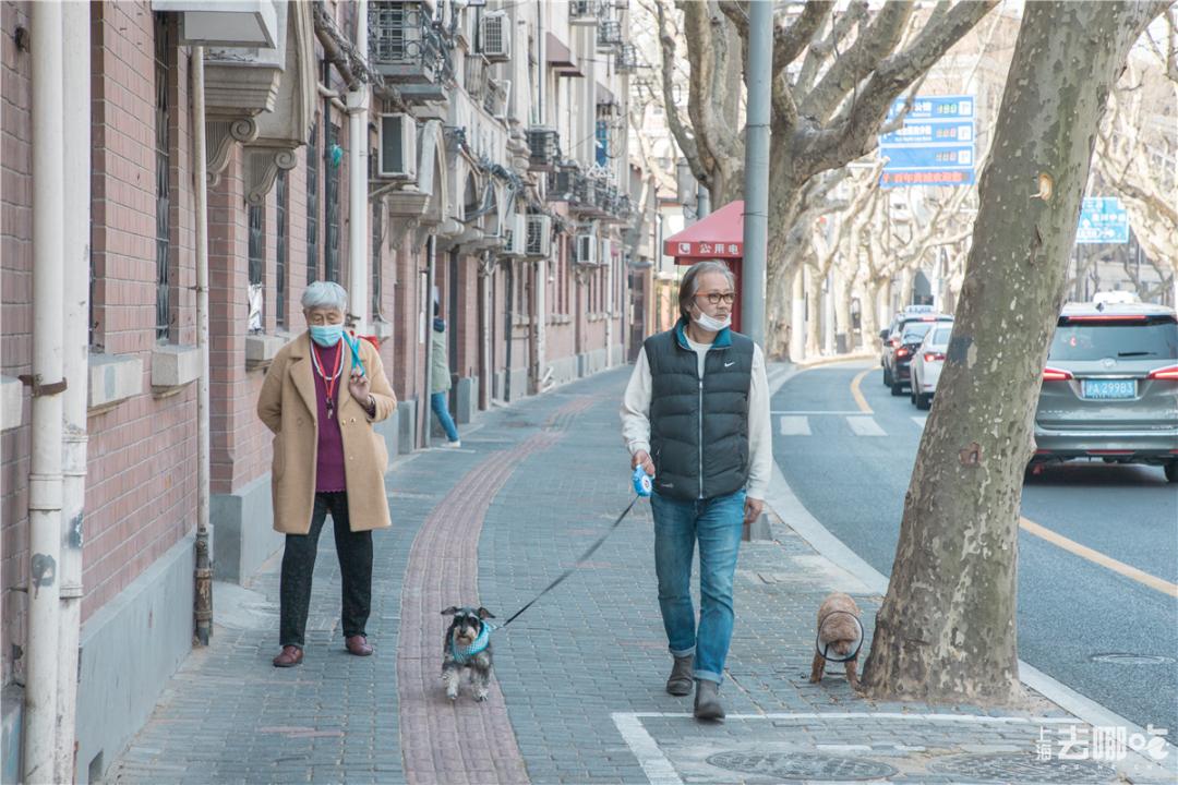 上海国庆免费景点推荐,上海值得去的免费景点旅游攻略