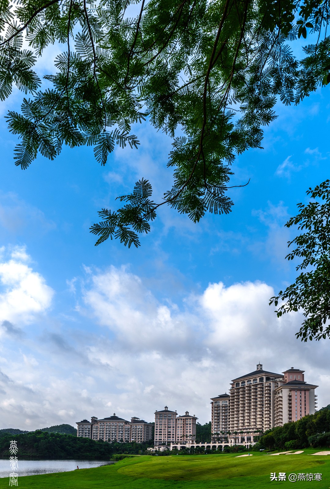 尼康单反有哪些经典镜头,尼康十大经典相机与镜头