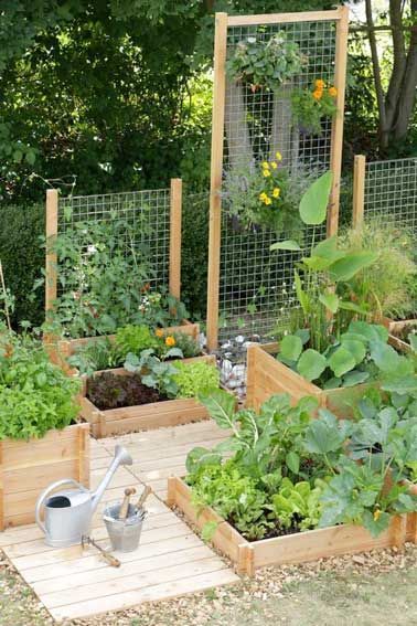 满足你对露台院子养花的梦想,养花种菜小院生活