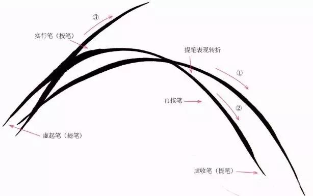 国画兰花绘画图,简单国画兰花画法教程