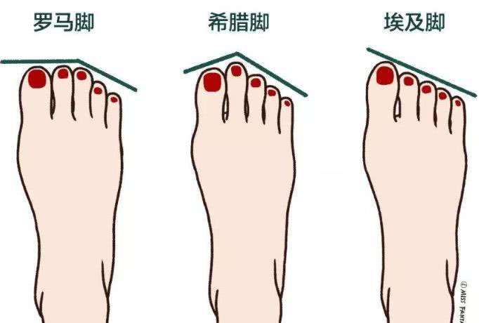 了解不同的鞋,了解鞋子的特点