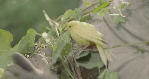 追星的女孩如何哄男朋友,追星女孩怎么追