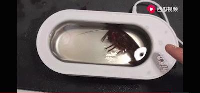 新家必备实用电器,家里哪些电器很实用