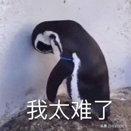 怎么查在lol游戏里充值了多少钱,lol以前是怎么充值的