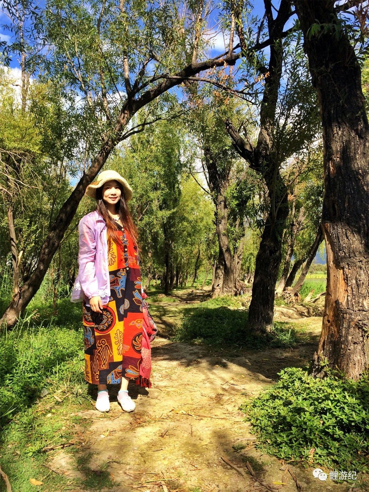 环海公路好看的图片,西南风景图片横图