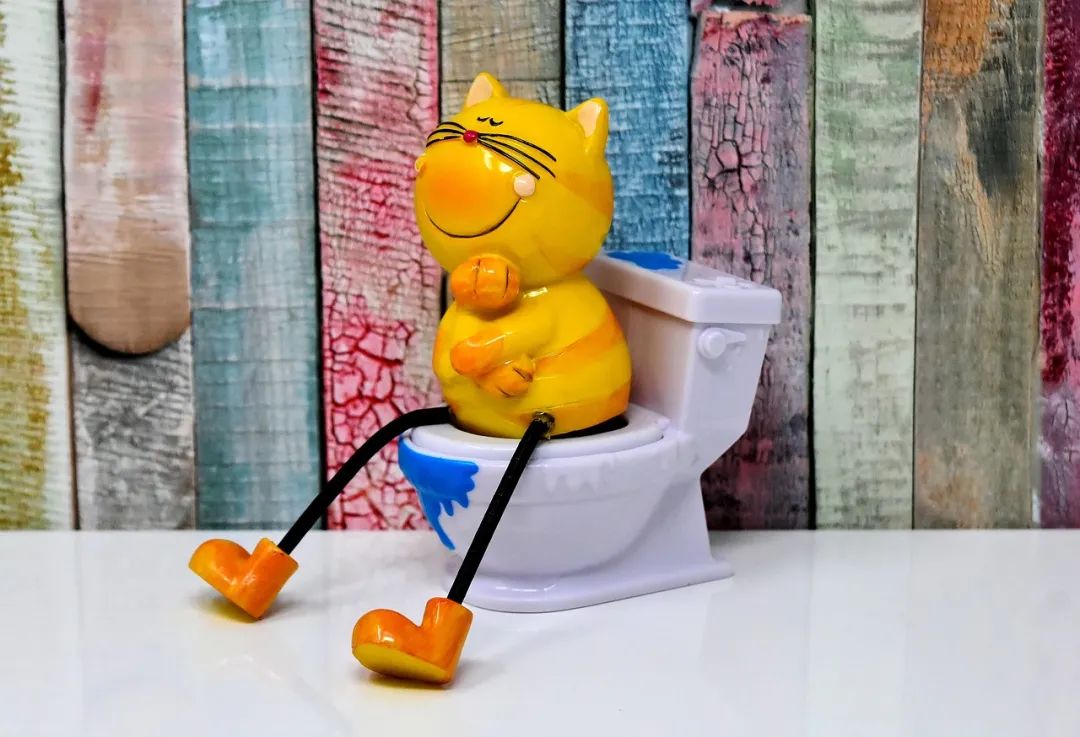 樱花结的果实叫樱桃吗,樱花结出来的果子是樱桃吗