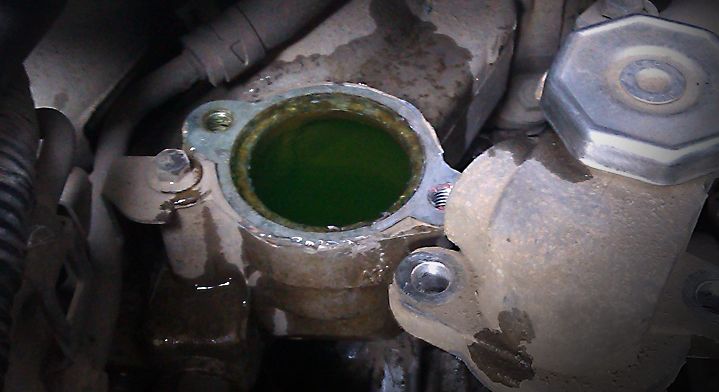 汽车防冻液缺少可以加水吗,防冻液缺了是直接添加还是更换