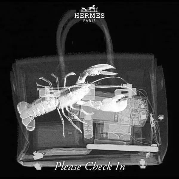 探索爱马仕箱包世界,爱马仕箱包之旅