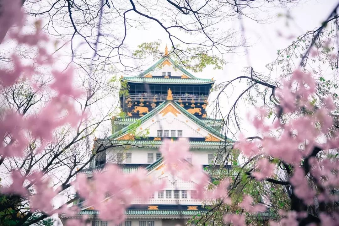 2019五一去哪儿能玩的比较嗨呢,2020年五一长假去哪里玩