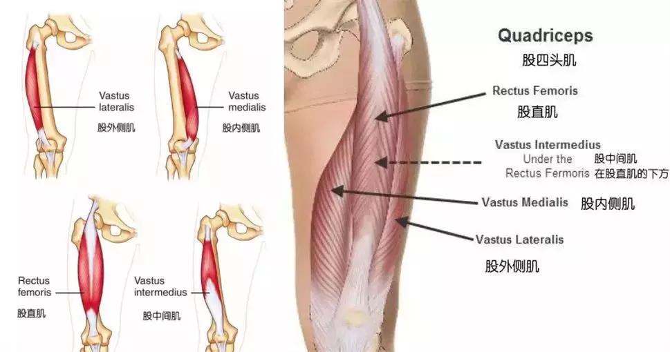 怎么改变腿粗的腿型,大腿型矫正十种让腿变直的方法