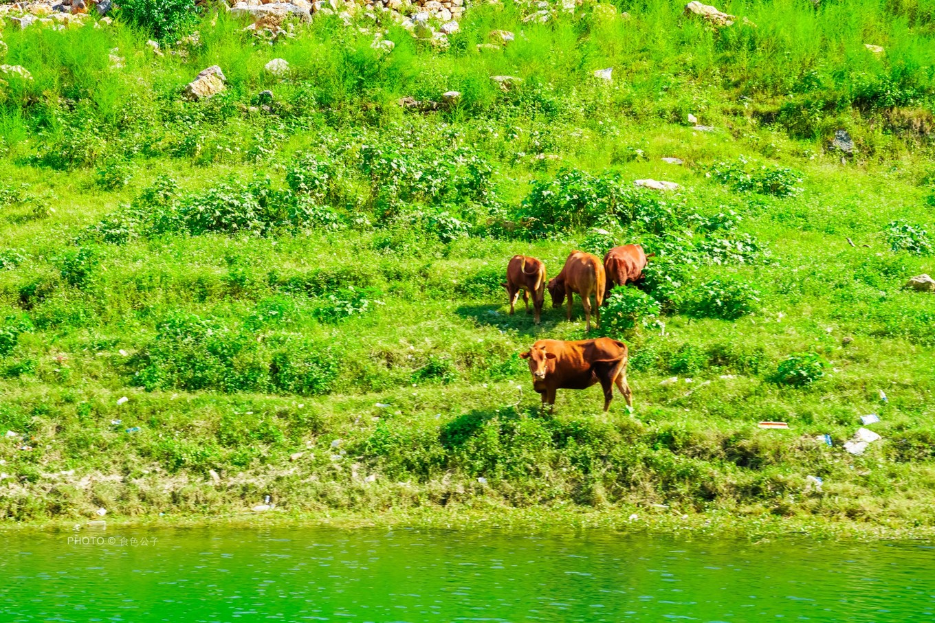 千里乌江画廊最美景点,游览贵州乌江十里画廊