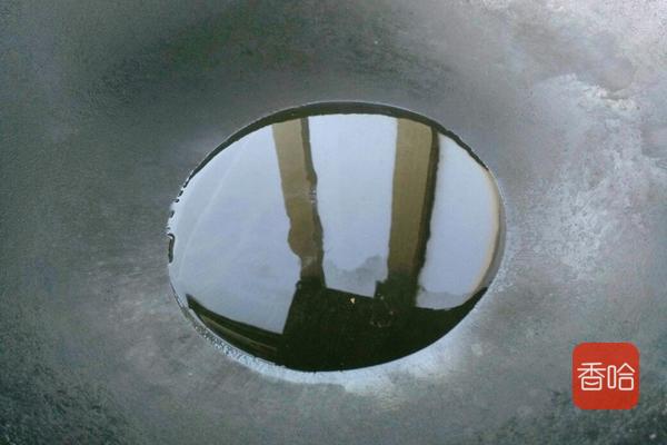 营养又减脂的蔬菜,它被称为野菜之王