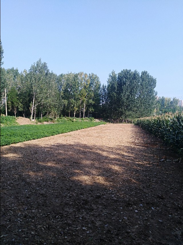 王玉：余沟初秋与老城老人