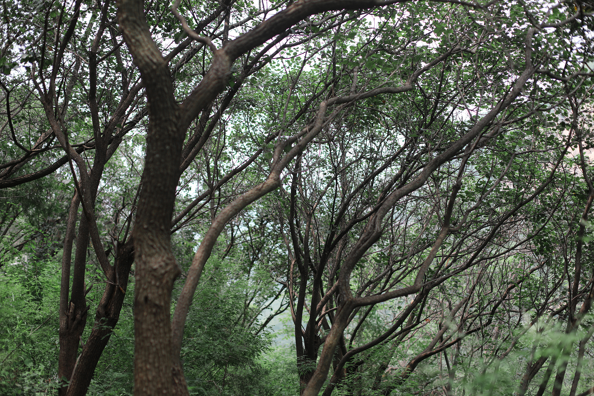京郊房山登山路线,房山东港登山步道