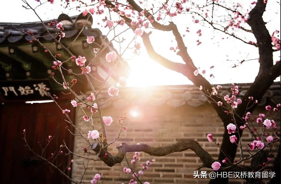 韩国国语国文系-庆北大学一个创造民族价值的韩国语文学中心基地