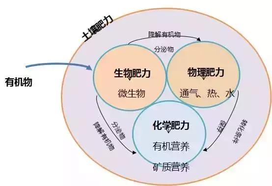 这才是有机肥最“厉害”的地方！