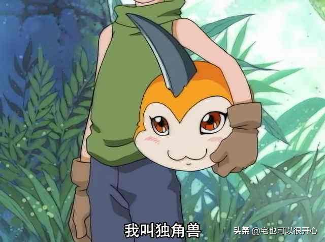 数码宝贝每一个代表什么含义,数码宝贝各个代表着什么