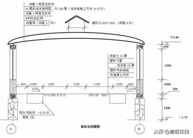 20头母猪猪舍设计图,20头母猪栏设计图