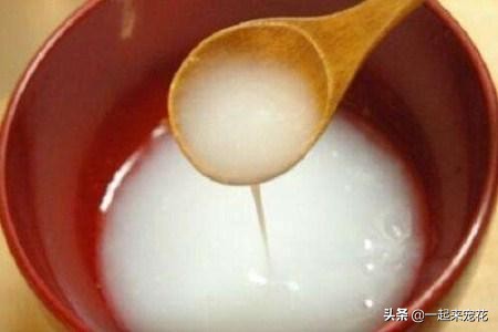 吊兰花浇什么水长得最快,浇什么让吊兰长的快又好看