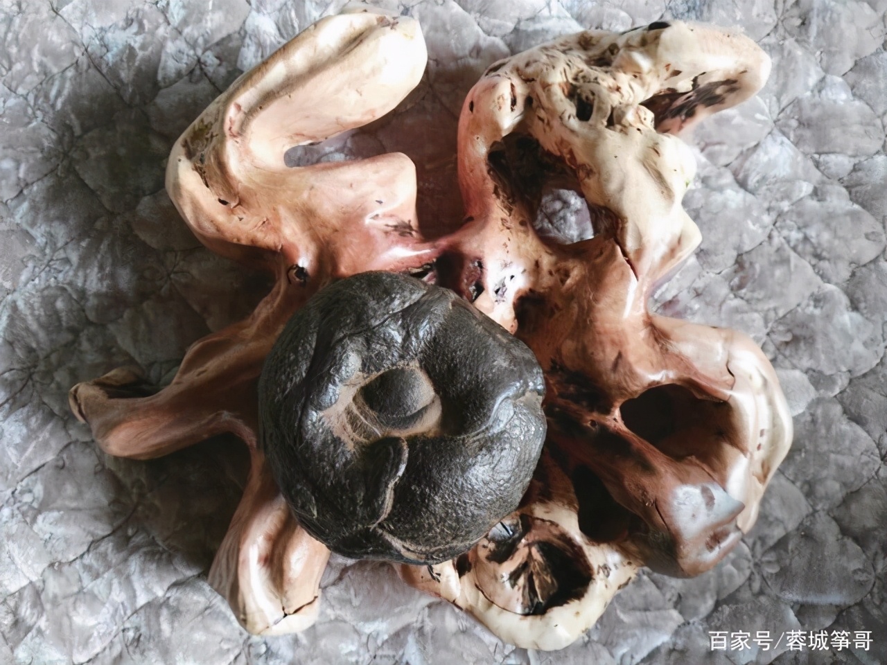 百宝筝议丨天陨灵石玩珍