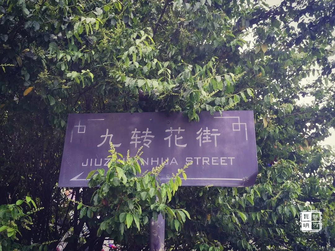 官渡古镇和白沙古镇,官渡古镇历史介绍