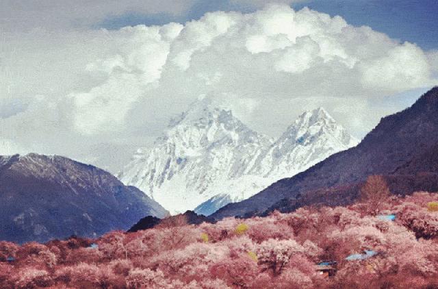 骞稿緱璇嗗嵖妗冭姳闈粠姝ら槨闄屽鏆栨槬,骞稿緱璇嗗嵖妗冭姳闈㈣嚦姝や汉闂村鏆栨槬