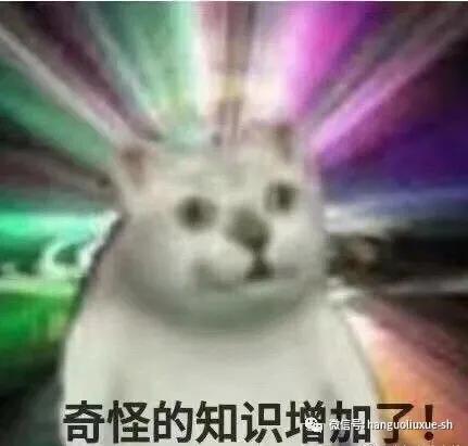 韩国的女生为什么冬天要光腿呢,韩国冷知识完整版