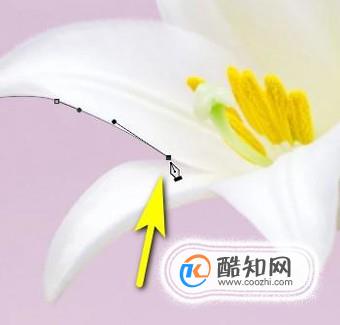 ps0基础教程自学网免费,ps0基础教程新手入门