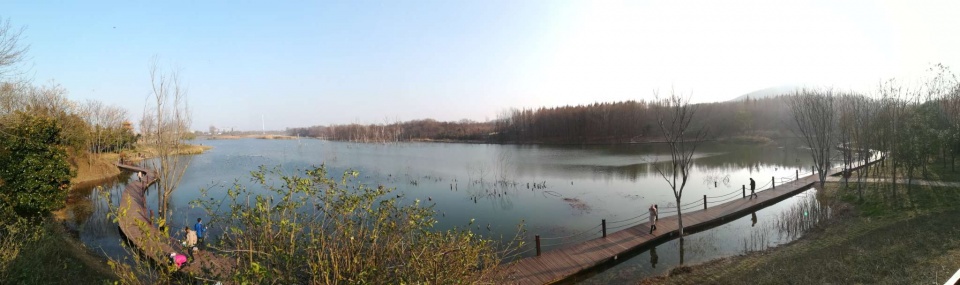 淮南湿地风光视频,淮南公园景点大全