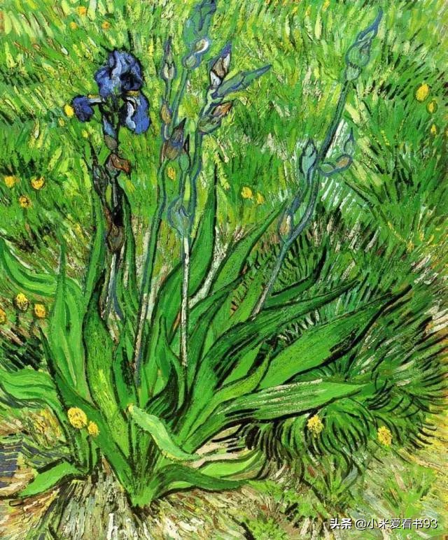 万字重磅解读,梵高传作品及解说