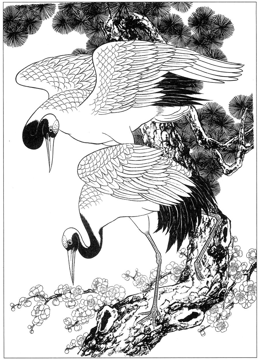 仙鹤桃子工笔白描稿,工笔画仙鹤高清图上色步骤图