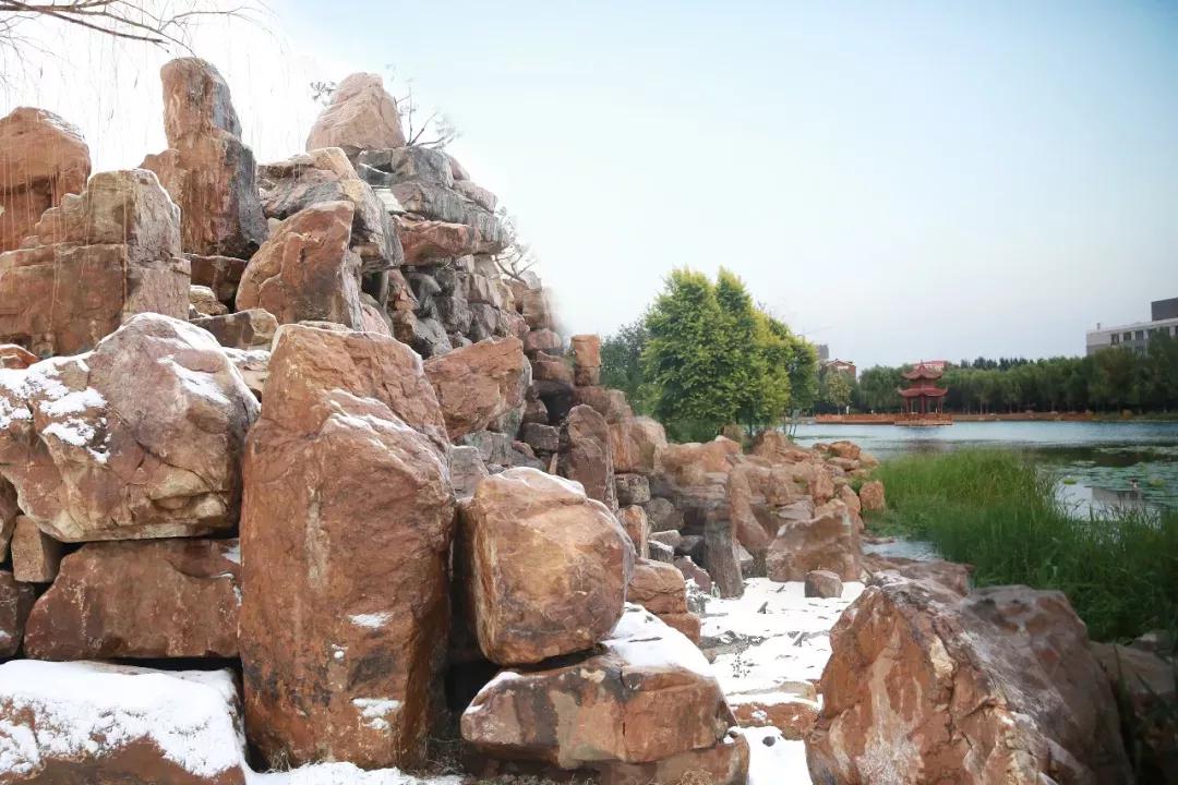 辽宁中医药大学杏林学院独立学院,辽宁中医药大学三个校区