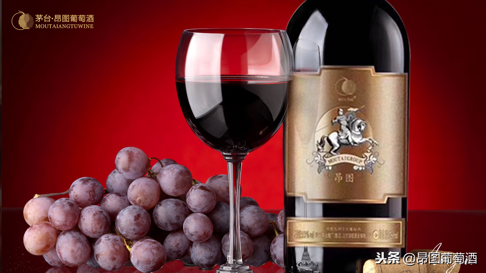 每一款葡萄酒都有属于它的秘密,想了解葡萄酒看什么书