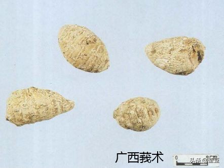 中药材伪品太多，俗有南国神草之称的三七，就有十多种假货