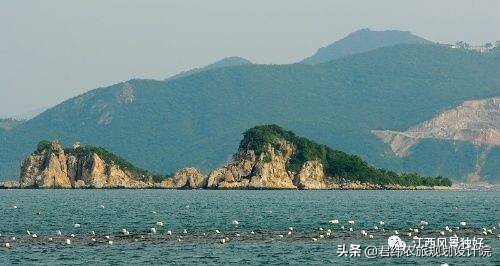 鄱阳湖候鸟保护区站长是谁,鄱阳湖候鸟江西都昌县