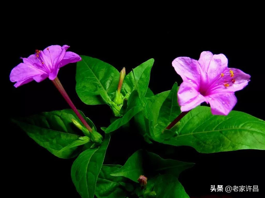 家家都会有烦心事好好面对,家家都有难事