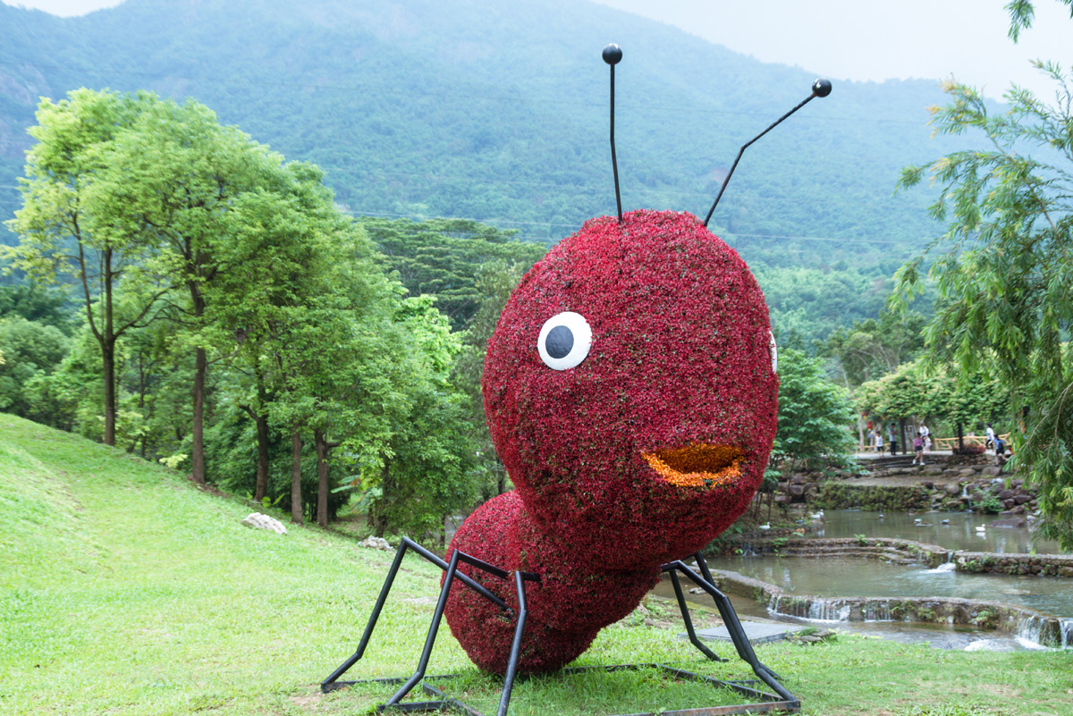 广州白水寨旅游攻略,五一白水寨亲子游