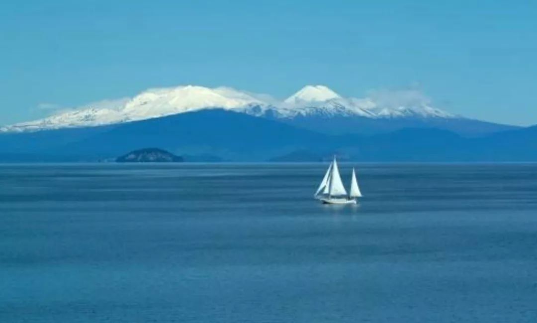 如果不是这次疫情你会在家多久,如果没有疫情这该有多好