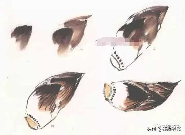 蔬菜怎么画最简单画法,水果蔬菜怎么画又简单