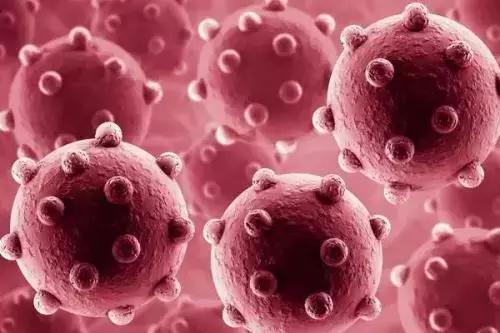 婴幼儿13种菌群,母婴肠道菌群